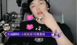 网红黑料视频,视频背后的真相与反思