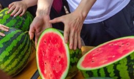 今日看料 吃瓜爆料短剧,短剧爆料，揭秘娱乐圈幕后真相